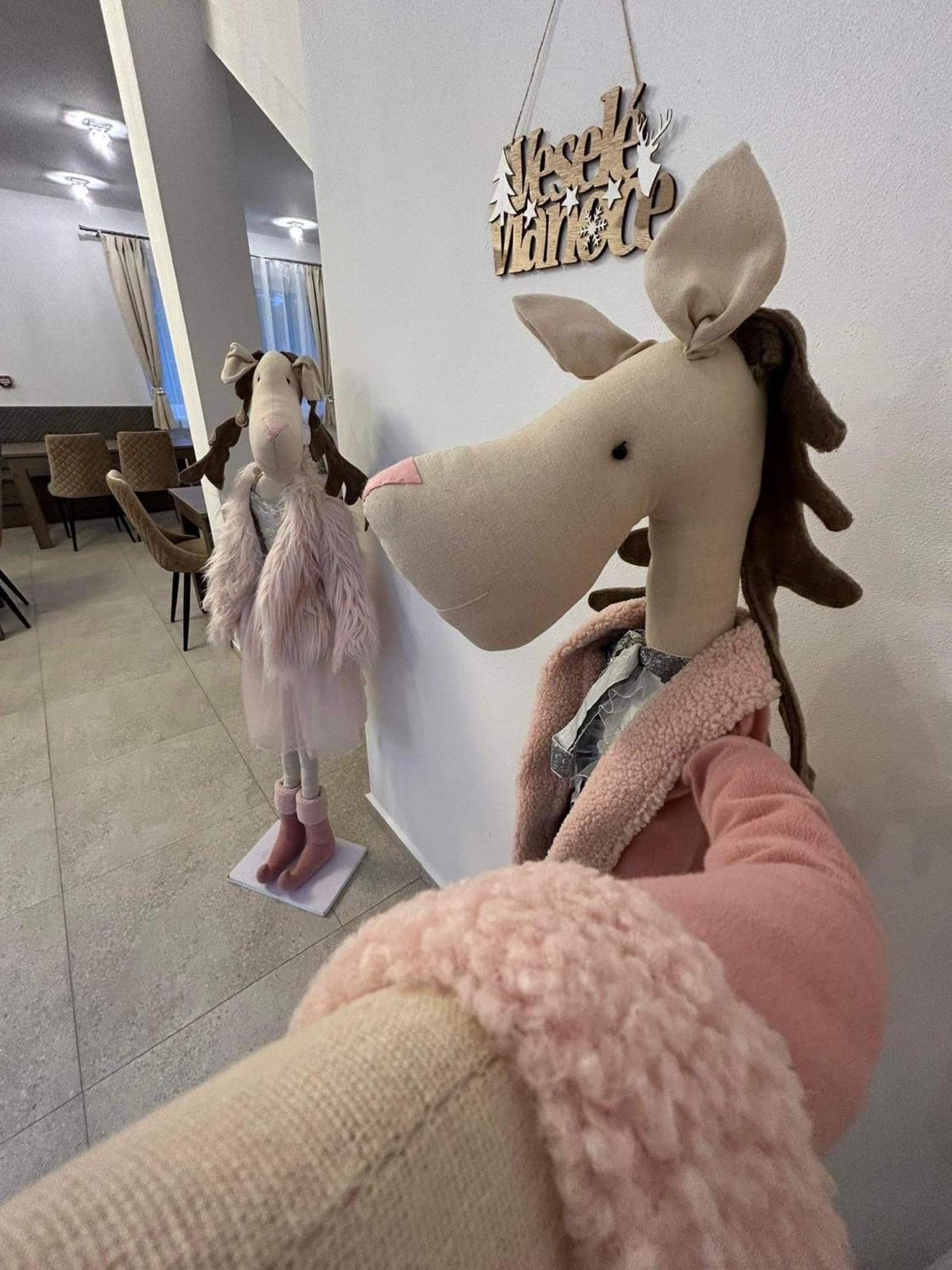 ホテル Zafir Dunajská Streda エクステリア 写真